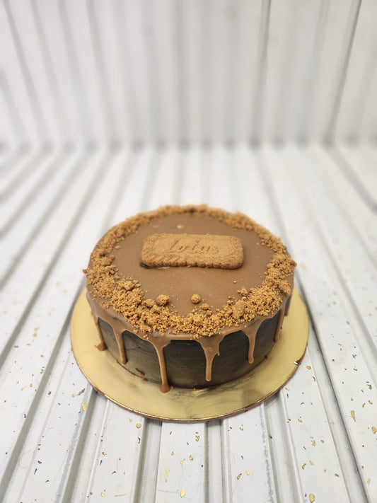 Chocolate Biscoff Cake